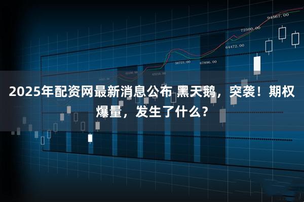 2025年配资网最新消息公布 黑天鹅，突袭！期权爆量，发生了什么？