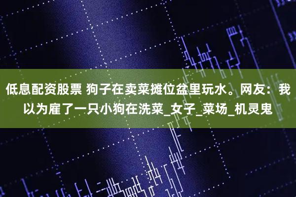 低息配资股票 狗子在卖菜摊位盆里玩水。网友：我以为雇了一只小狗在洗菜_女子_菜场_机灵鬼
